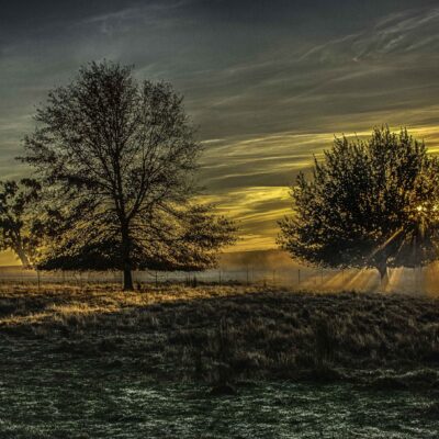 Andy Indrans_Winter Morning Sunrise
